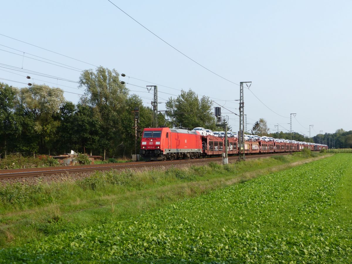 DB Cargo Lokomotive 185 211-0 Devesstrae, Salzbergen 11-09-2020.

DB Cargo locomotief 185 211-0 Devesstrae, Salzbergen 11-09-2020. 