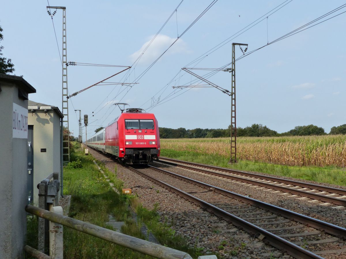 DB Lokomotive 101 080- 0 bei Bahnübergang Devesstraße, Salzbergen 11-09-2020.

DB locomotief 101 080- 0 bij overweg Devesstraße, Salzbergen 11-09-2020.

