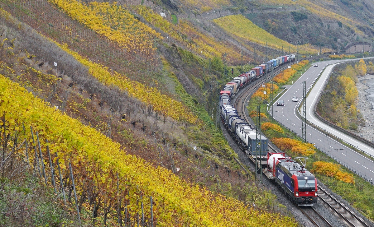 Der auf der vorherigen Aufnahme vom 16.11.2024 gezeigte Vectron von SBB-Cargo am Bopparder Hamm nochmals etwas vergrössert