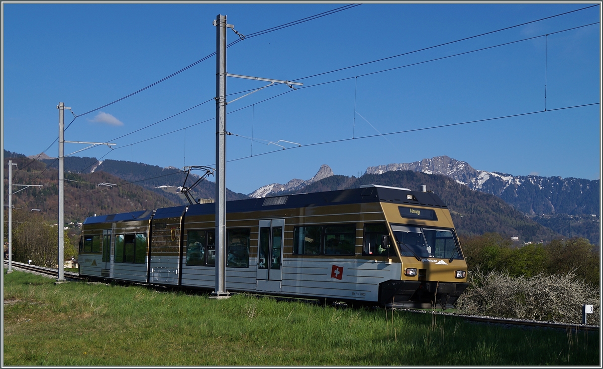 Der CEV/MVR GTW Be 2/6 7002  BLONAY  wurde nach einer unsanfen Begegnung mit einem LKW bei La Chiesaz in den  GoldenPass  Farben lackiert.
Hier erreicht der Be 2/6 7002 auf der Fahrt nach Vevey die Haltestelle Château d'Hauteville. 
9. April 2014