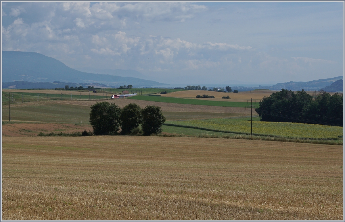 Der TGV Lyria 9261 von Paris Gare de Lyon nach Lausanne oberhalb von Arnex auf der Fahrt durch die hügligen Jurasüdfuss Landschaft. 

25. Juli 2020