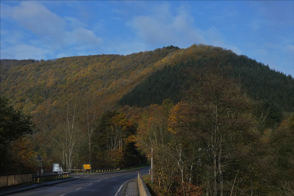 Der Wald in herbstlicher Pracht nahe Goebelsmhle. 30.10.2017 (Hans)