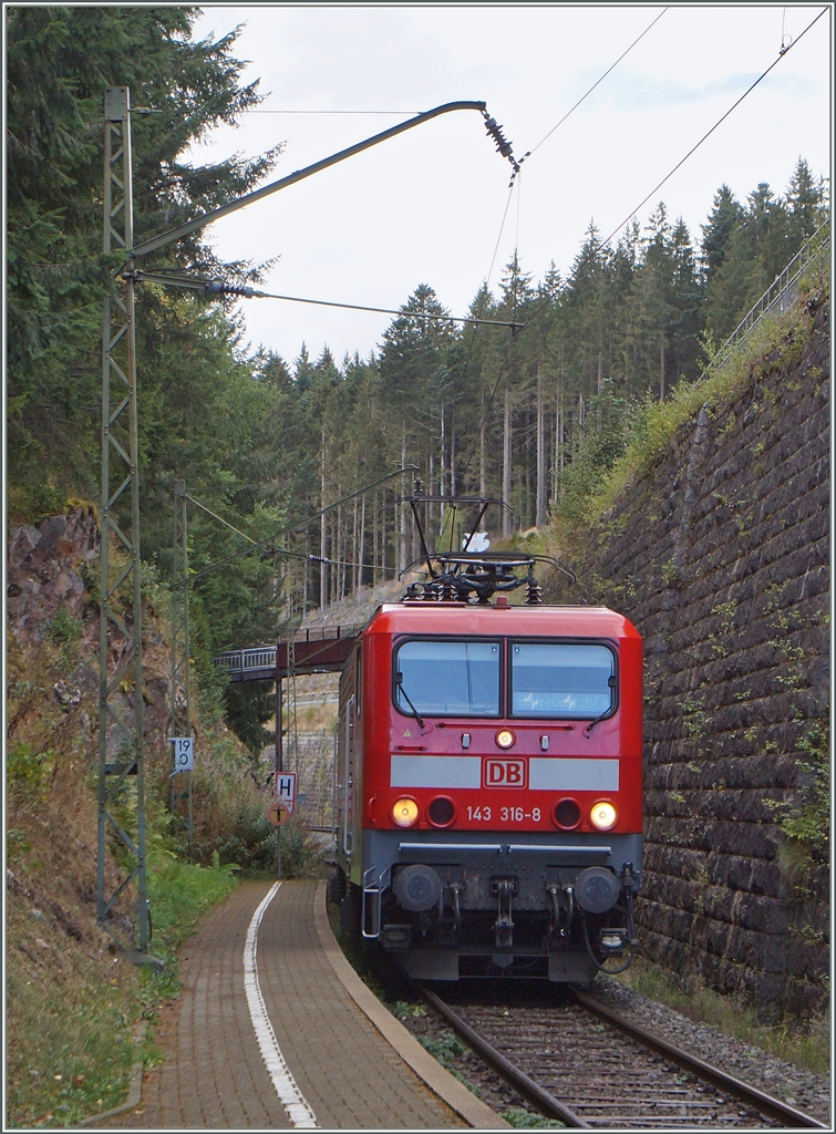 Die 143 316-8 erreicht mit ihrem (nicht zu shenden!) RB von Freiburg kommend ihr Ziel Seebruck. 
14. Sept. 2015
