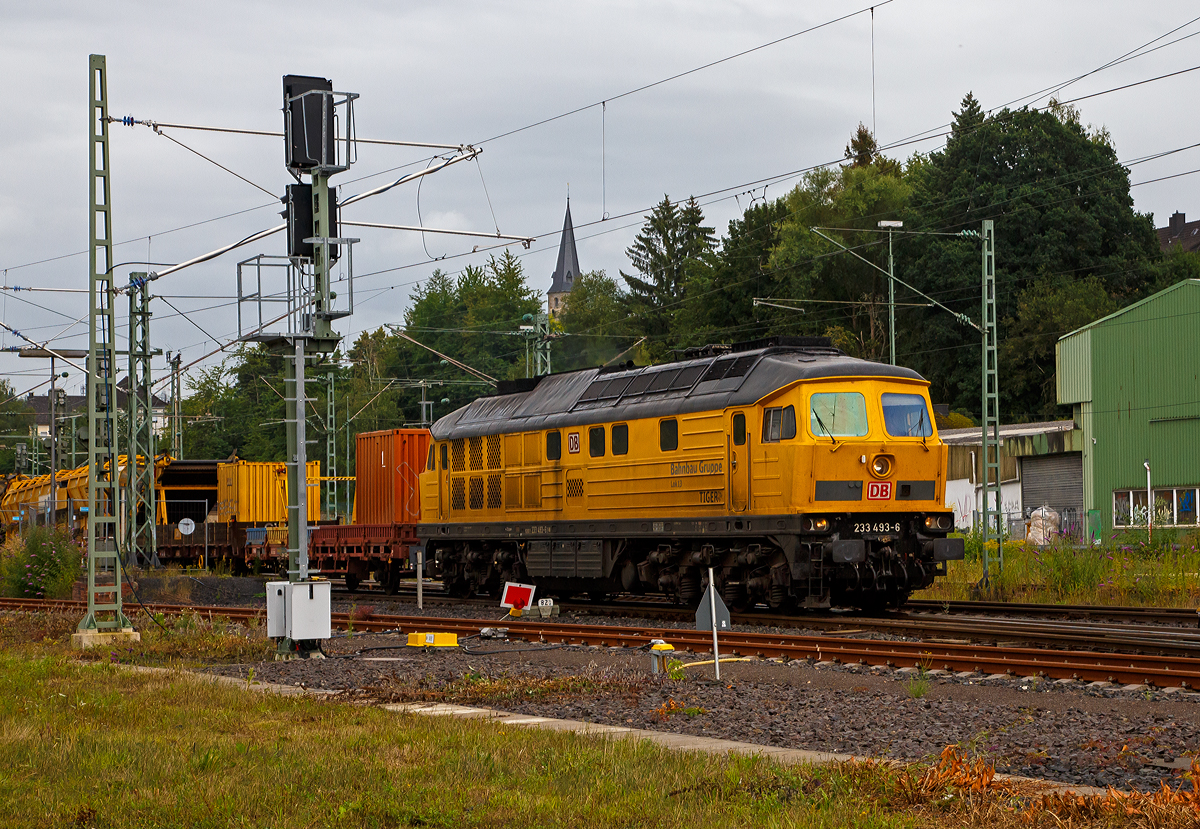 Die 233 493-6  „TIGER“ (92 80 1233 493-6 D-DB) bzw. Lok 13 der DB Bahnbau Gruppe, ex DB 232 493-7, ex DR 132 493-8, fährt am 20.08.2021, mit einem Bauzug (bestehend auch einigen Materialförder- und Silowagen  MSF-100 der MGW Gleis- und Weichenbau) , durch Betzdorf/Sieg in Richtung Köln.

Die remotorisierte  Ludmilla bzw. V 300 wurde 1977 von LTS (Luhanskyj Teplowosobudiwnyj Sawod auch bekannt als Lokomotivfabrik „Oktoberrevolution“  Lugansk (ehemals Woroschilowgrad)) unter der Fabriknummer 0728 gebaut und als 132 493-8 an die Deutsche Reichsbahn (DR) geliefert. Zum 01.01.1992 erfolgte die Umzeichnung in DR 232 493-7 und zum 01.01.1994 dann in DB 232 493-7. Im Jahre 2003 erfolgte dann der  Umbau und Remotorisierung im Ausbesserungswerk Cottbus mit einem neuen Zwölfzylinder-Viertakt-Dieselmotor vom Typ 12D49M, daraufhin erfolgte zum die Umzeichnung in DB 233 493-6. Im Jahr 2014 ging sie von der DB Schenker an die DB Bahnbau Gruppe.

Die Umbau-Baureihe 233:
Im Jahre 2002 begann man mit dem Stabilisierungsprogramm der BR 232, zur Erhöhung der Zuverlässigkeit, Verfügbarkeit und Wirtschaftlichkeit, sowie der Reduzierung der Emissionswerte, der Umbau bestand im Wesentlichen aus:
Die Lok der BR 232 erhielt nun einen direkteinspritzenden V-12-Zylinder-Viertakt-Dieselmotor des russischen Typs Kolomna 12D49M  einer Nennleistung von 2.206 kW und einer maximal eingestellten Traktionsleistung von 1.900 kW ausgerüstet worden. Da der Umbau für den russischen Motor am geringsten war, entschied man sich für den Einbau dieses Motors. Während der Originalmotor ein 16-V-Zylinder-Dieselmotor (Kolomna 5D49) war, ist der neue Motor nur noch ein 12-Zylinder-V- Dieselmotor. Der der neue Motor hat einen Hubraum von 165,6 l gegenüber 220,9 l des alten Motors, die fast gleiche Leistung wird u.a. durch einen höheren Ladedruck erreicht. Dieser wurde von 1,3 bar auf nun 2,1 bar erhöht. Aber auch der Einspritzdruck (Beginndruck 380 bar gegenüber 320 bar) und der max. Verbrennungsdruck (140 bar gegenüber 115 bar) sind entsprechend höher.
Wie auch beim alten Motor können einzelne Zylindergruppen zur Dieseleinsparung bei Nichtbedarf abgeschaltet werden. Insgesamt wurden 65 Lokomotiven mit dem neuen Motor Typ Kolomna 12D49M ausgestattet und zur Unterscheidung als Baureihe 233 bezeichnet, dabei wurden die alten Ordnungsnummern beibehalten. 

Systemänderungen gegenüber dem 5D49 bestehen vor allem im Zweikreiskühlsystem, der Ausstattung mit zwei Ölwärmetauschern und der Notabstellung mittels Notstopp bzw. Luftabsperrklappe.
Die veränderte Lage des Abgasturboladers des 12D49M gegenüber dem 5D49 im Lokkasten erforderte außerdem den Einbau eines gekürzten Schalldämpfers. Weiterhin wurde die Verbrennungsluftanlage auf eine mit vier Papierfiltereinsätzen bestückte einseitige Luftansauganlage umgerüstet. 

TECHNISCHE DATEN der BR 233:
Spurweite:  1.435 mm (Normalspur)
Achsformel: Co’Co’
Länge über Puffer: 20.820 mm
Achsabstand im Drehgestell:  2 x 1.850 mm (3.700 mm)
Dienstgewicht: 122t
Radsatzfahrmasse:  20,4 t 
Anfahrzugkraft: 294 kN
Dauerzugkraft: 194 kN
Höchstgeschwindigkeit: 120 km/h
Treibraddurchmesser:  1050 mm
Motorart: direkteinspritzender V-12-Zylinder-Viertakt-Dieselmotor mit Abgasturbolader und Ladeluftkühlung, 4 Ventile pro Zylinder
Motorentyp: Kolomna 12D49M
Motorleistung: 2.206kW (2.999 PS) bei 1.000 U/min
Motorhubraum: 165,6 l
Ladeluftdruck: 2,1 bar
Einspritzbeginndruck: 380 bar
Max. Verbrennungsdruck: 140 bar
Motorgewicht (trocken): 17.750 kg
Leistungsübertragung: elektrisch
Traktionsgeneratortyp: GS-501A
Traktionsgeneratorleistung:  2.190kW
Traktionsleistung: 1.830 kW (6 x 305 kW)
Anzahl der Fahrmotoren: 6 (á 305 kW)
Fahrmotortyp: ED 118 A
Tankinhalt: max. 6000 l