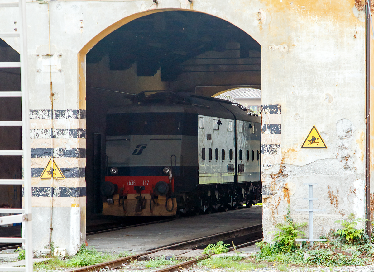 
Die FS E.636 117 (Camilla) steht an 02.11.2019 in dem Lokschuppen in Sondrio (dt. Sünders). Es war nicht einfach sie vom Bahnsteig einzufangen, aber da sie bereits historisches Fahrzeug ist habe ich es versucht.

Die Baureihe E.636 Spitznamen Camilla ist eine sechsachsige italienische Elektrolokomotive in zweiteiliger Gelenkbauweise. Von diesen wurden von 1940 bis 1962 in drei Bauserien 469 Stück gebaut:
Die erste Serie E.636 001 bis 108 wurde von 1940 bis 1942 gebaut;
die zweite Serie E.636 109 bis 243 wurde von 1952 bis 1956 gebaut und
die dritte Serie E.636 244 bis 469 wurde von 1957 bis 1962 gebaut.
Die Baureihe war für den Personen- und Güterzugdienst konzipiert. Die Bauart mit zweigeteiltem Lokkasten und Achsfolge Bo'Bo'Bo' bewährte sich so gut, dass diese Achsanordnung bei der italienischen Staatsbahn als Standard festgelegt wurde.

TECHNISCHE DATEN:
Spurweite: 	1.435 mm (Normalspur)
Achsformel: Bo'Bo' Bo'
Länge: 18.250 mm 
Höhe: 3.380 mm
Breite: 3.000 mm
Drehzapfenabstand:  5.200 mm
Achsabstand im Drehgestell: 3.150 mm
Dienstgewicht: 101 t
Höchstgeschwindigkeit: 95 bis 120 km/h (je nach Übersetzungsverhältnis)
Dauerleistung: 2.100 kW
Getriebe Übersetzung: 21/65 (445 Stück), 28/65 (14 Stück) oder 24/74 (5 Stück)
Anzahl der Motoren: 6
Anfahrzugkraft: 113 kN
Treibraddurchmesser: 	1.250 mm
Stromsysteme: 3.000 V DC 
