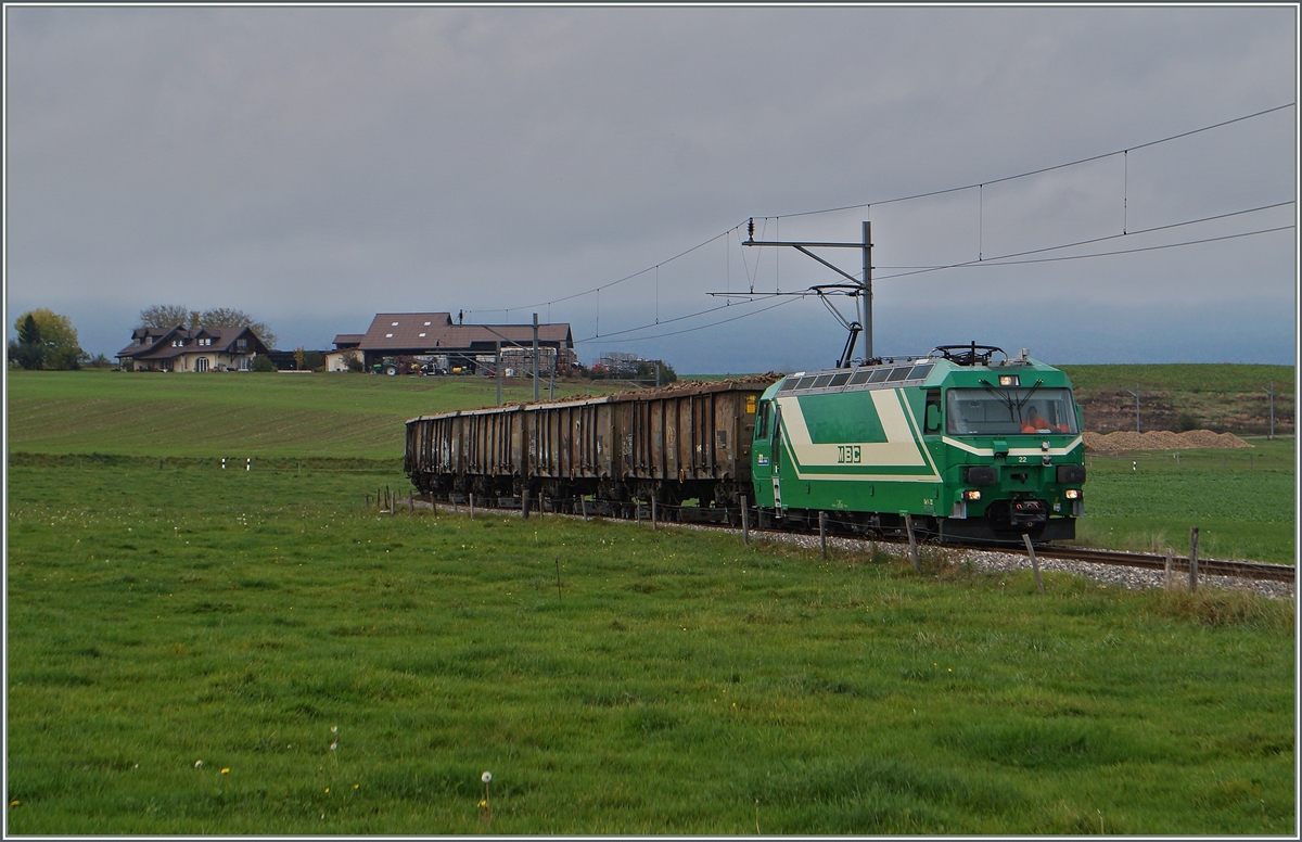 Die Ge 4/4 N° 22 verlässt mir ihrem Zuckerrübenzug den Verladeort auf der Strecke bei Mauraz; wie im Hintergrund zu sehen, sind noch viele Rüben zu verladen.
15. Okt. 2014