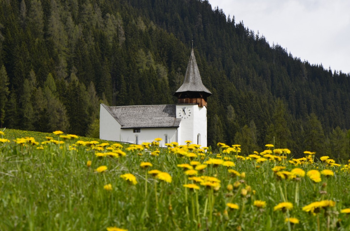 Die Kirche von Davos Frauenkirch im Mai. (11.05.2014). Ansonsten sieht man sie oft nur auf der Bahnfahrt zwischen Davos und Filisur. 
 Davos Frauenkirch ist eine Fraktionsgemeinde der Landschaft Davos. Sie liegt auf 1'505 m ü. M. zwischen Davos Platz und Davos Glaris und hat 442 Einwohner. Die walserische Streusiedlung ist nach dem Kirchlein zur lieben Frau benannt, welches aus vorreformatorischer Zeit stammt und um 1350 erbaut worden ist, 1470 ergänzt durch einen angebauten Turm. Im Lawinenwinter 1602 wurde das Kirchlein durch eine Lawine fast gänzlich zerstört. 1603 wurde es wieder aufgebaut und bergseits mit dem charakteristischen Lawinenspaltkeil versehen. Seither hat es allen Lawinenniedergängen standgehalten . (Quelle:Wikipedia)