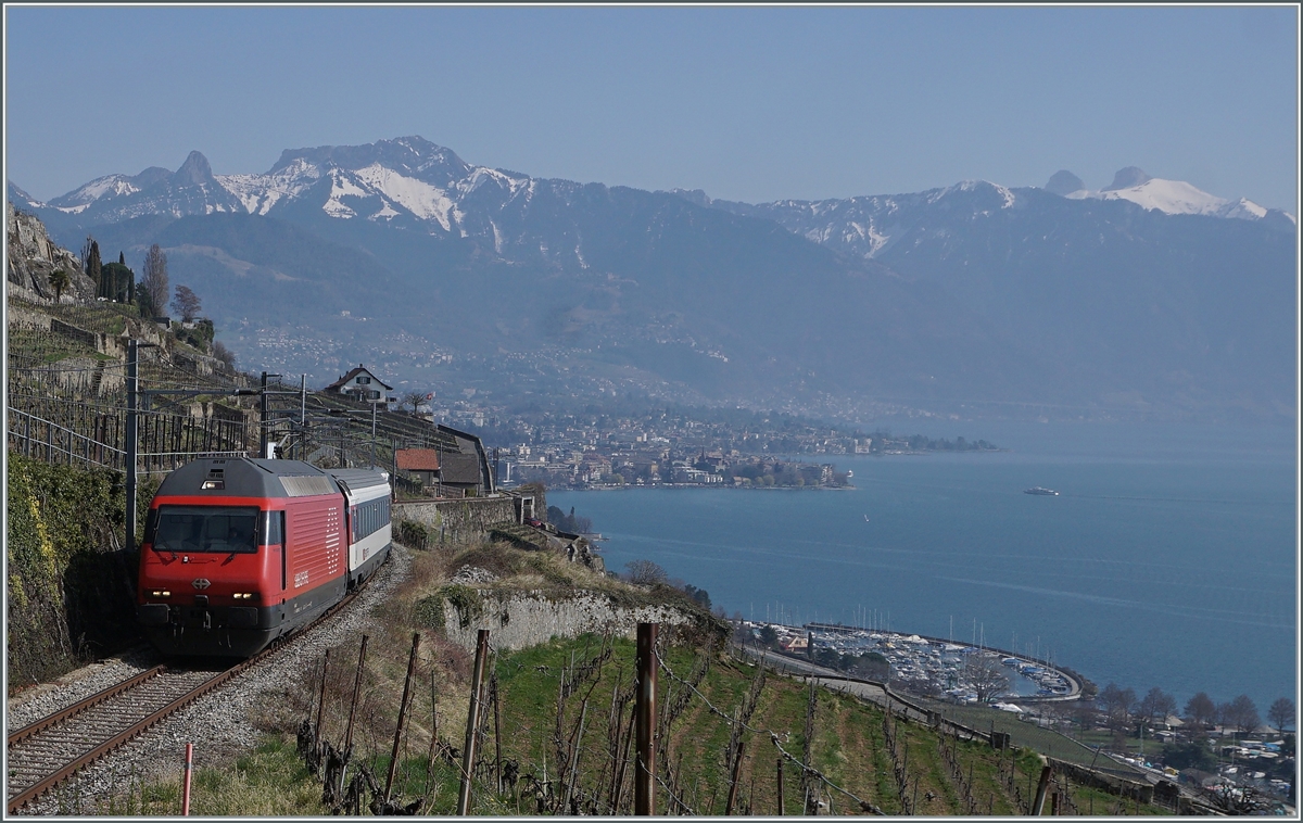 Die SBB Re 460 103-5  Heitersberg  ist mit ihrem RE 30268 von St-Maurice nach Genève Aéroport zwischen Vevey und Chexbres unterwegs. Begünstigt durch den Aufnahmewinkel versteckt sich der Zug praktisch vor sich selbst. 

20. März 2022