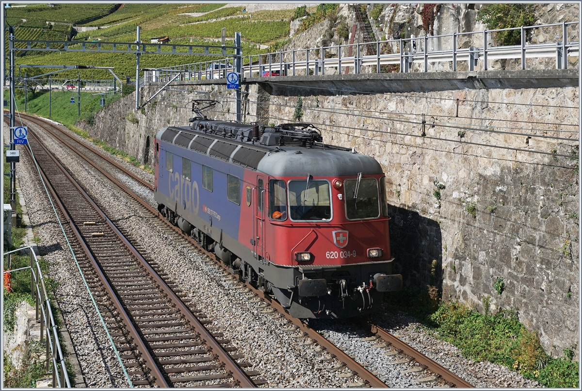 Die SBB Re 620 034-9 als Bild beherrschendes Motiv zwischen Rivaz und St-Saphorin auf dem Weg Richtung Villeneuve. 

30. Sept. 2019