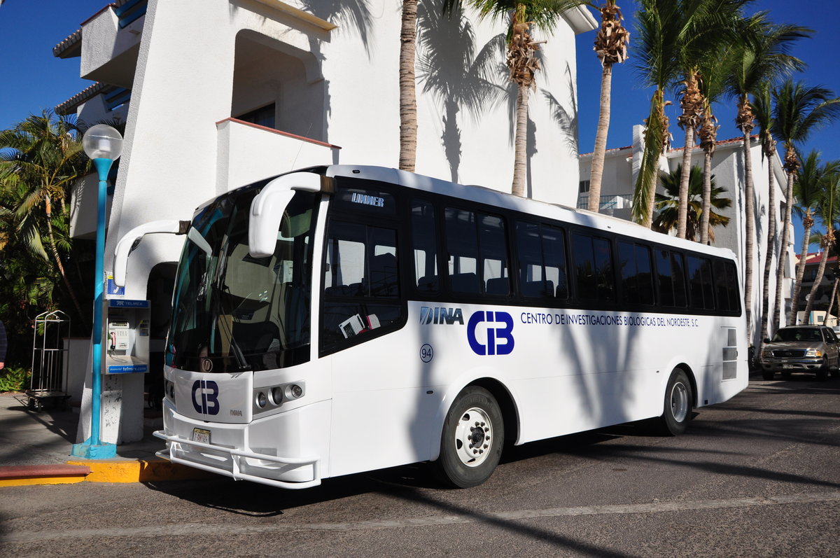 Dina Bus f�r Touristen in La Paz/Mexico vor dem Hotel.