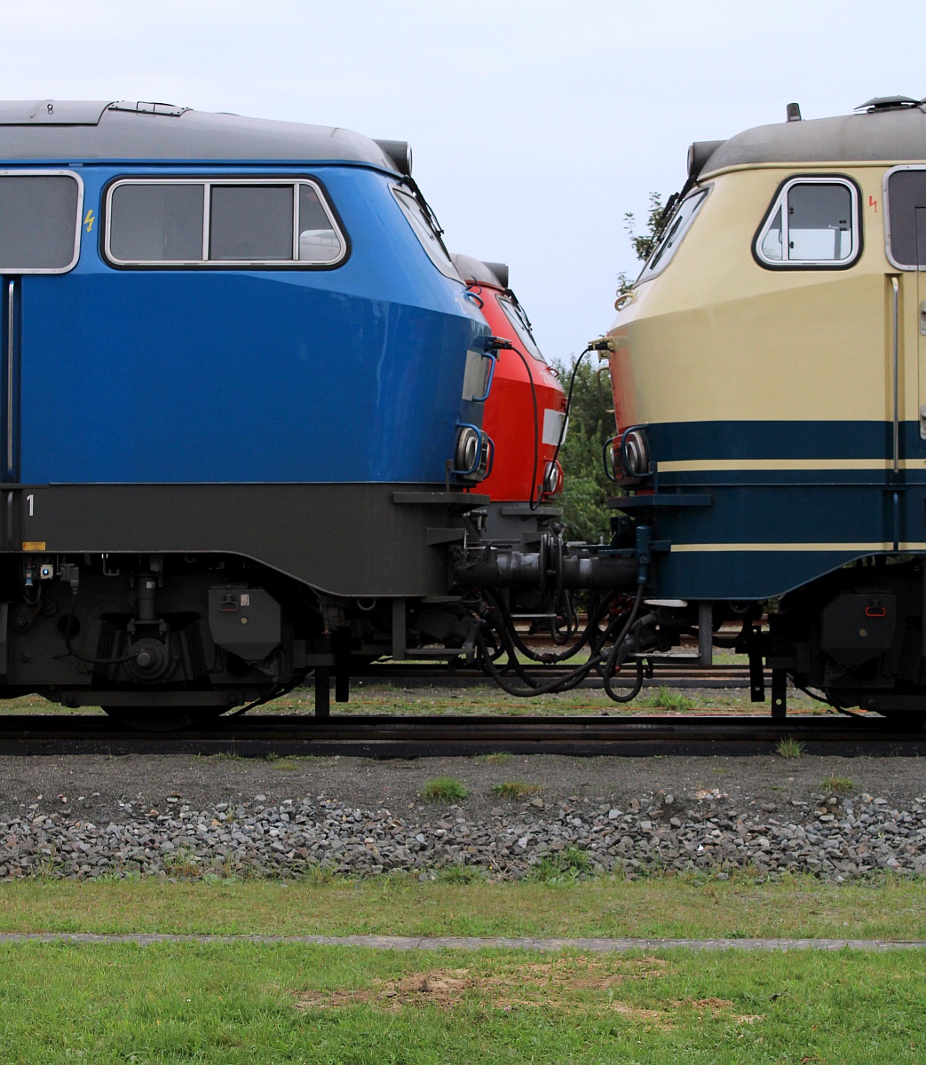 Dreifarbiger Nasenvergleich....Niebüll 26.09.2021