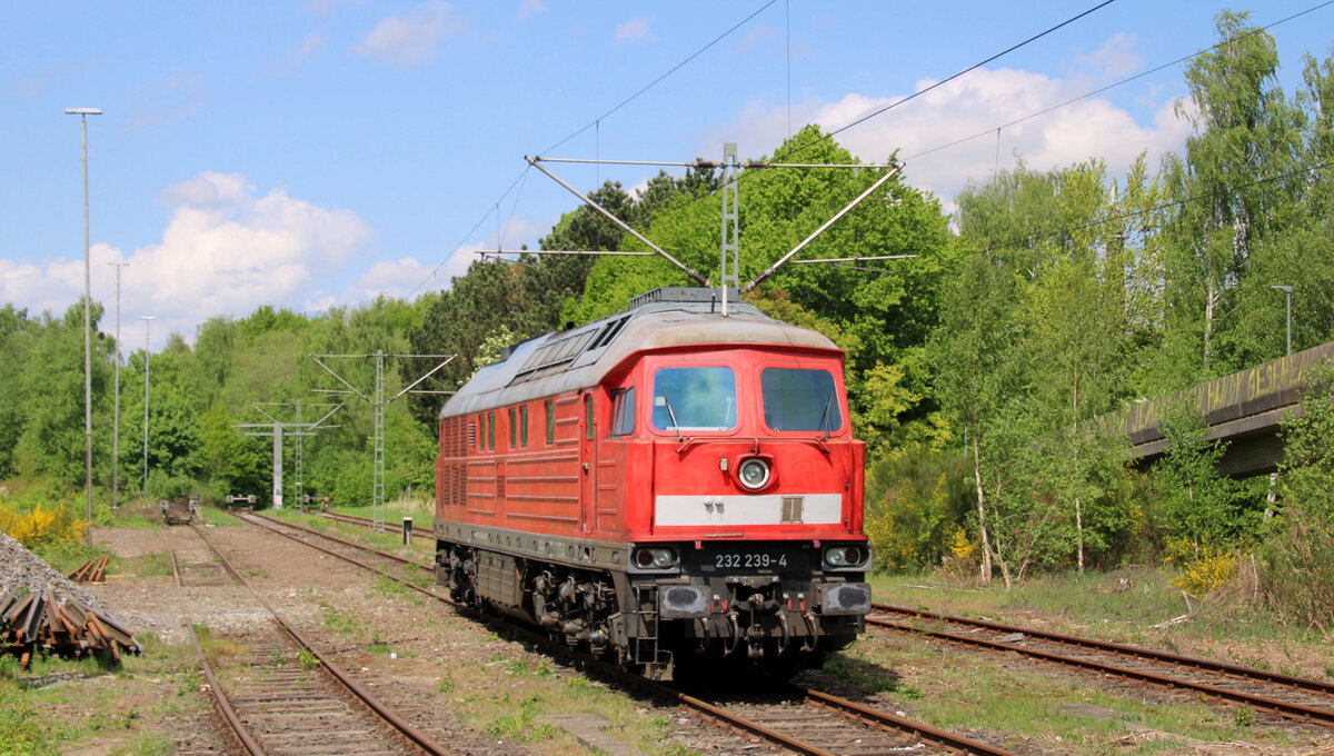 EBS 232 239-4 ex MEG 314, REV/BCS X/19.05.2016, Verl/FWK/03.05.23, Gbf Elmshorn 12.05.2022 I  Foto: D.Pinto