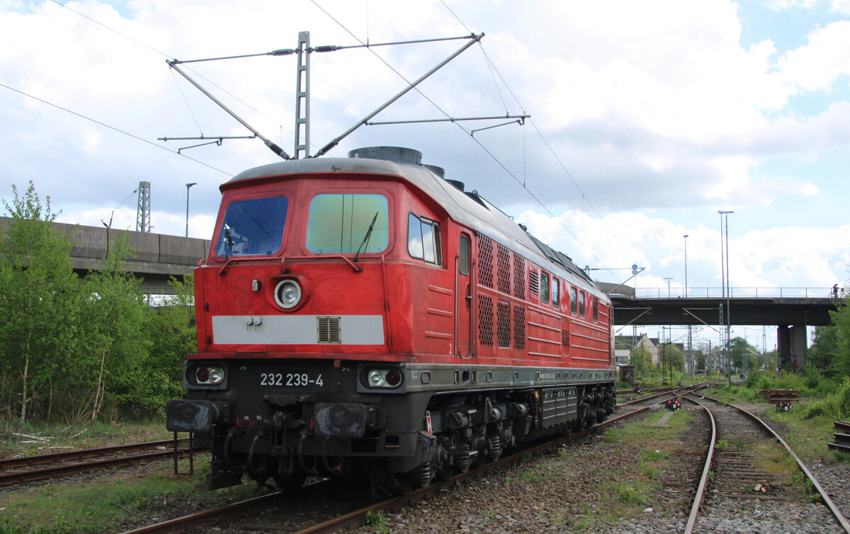 EBS 232 239-4 ex MEG 314, REV/BCS X/19.05.2016, Gbf Elmshorn 12.05.2022 III  Foto: D.Pinto