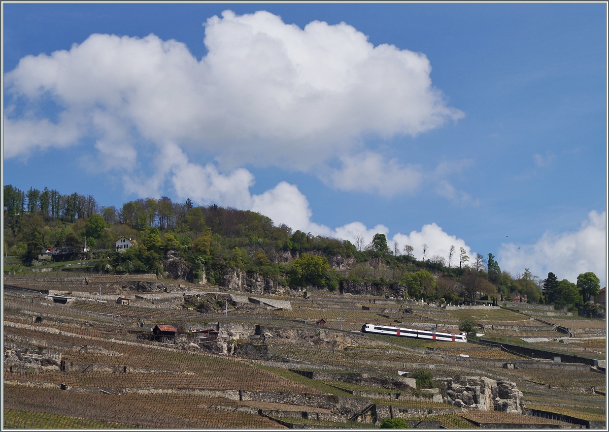 Ein  Domino  als S31 kurz vor Chexbres Villages im Lavaux.
22. April 2014