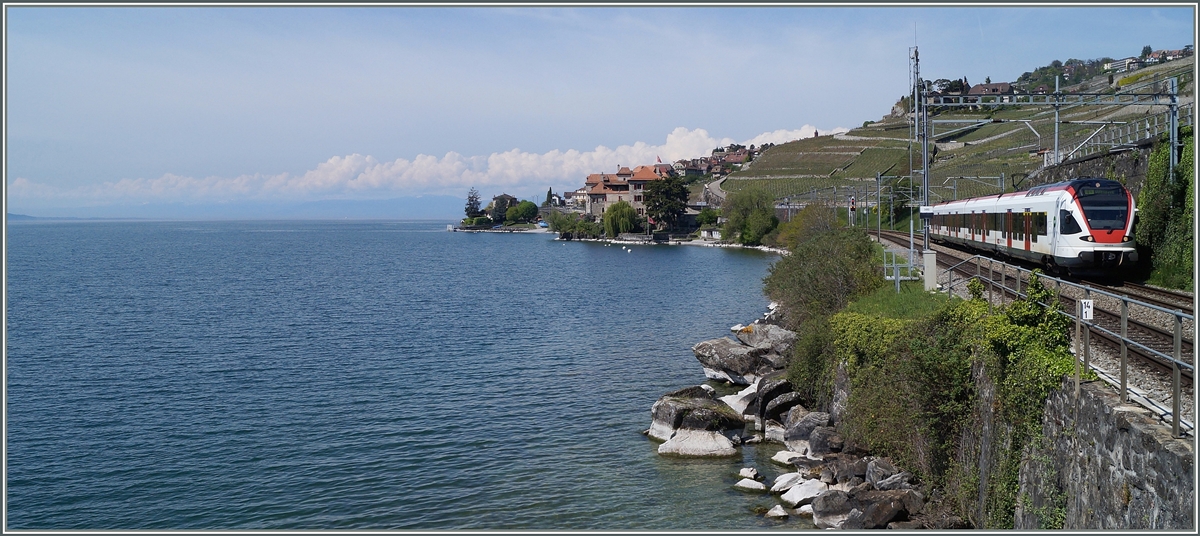 Ein  Flirt  und viel vom  Kleinen See . 
Bei Rivaz, den 24. April 2014