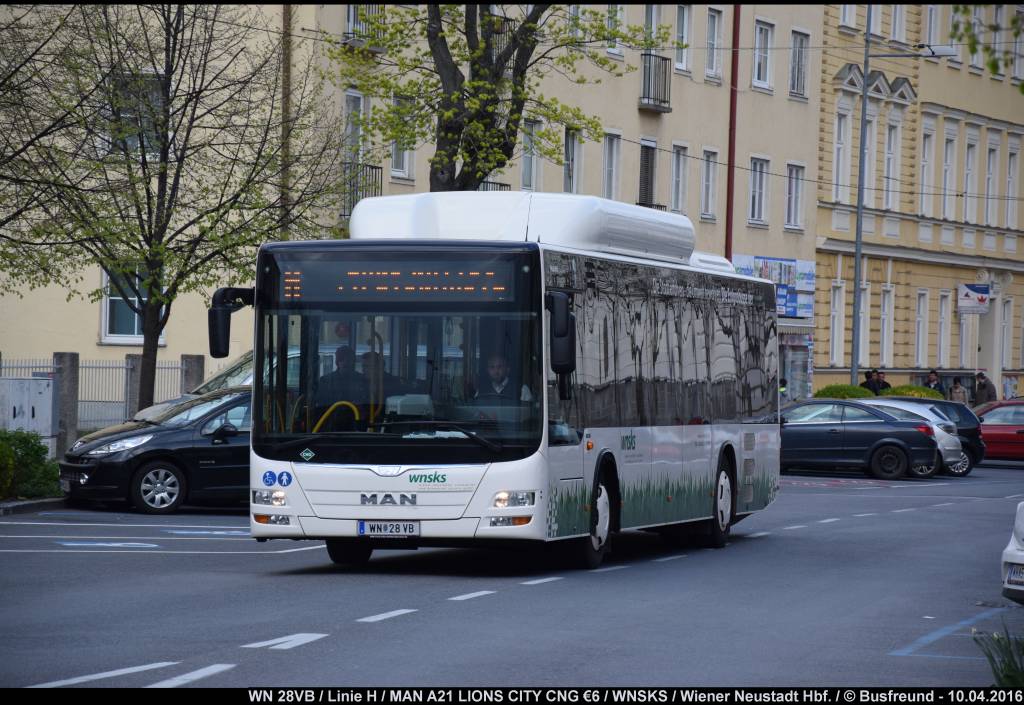 Ein MAN A21 LIONS CITY CNG der WNSKS unterwegs Richtung Hbf. (N).