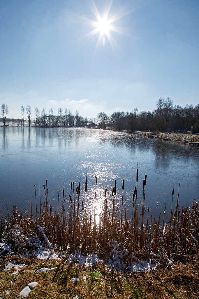 
Eine kleine winterliche Impression am Elkenrother Weiher, wie man sieht bei vollem Gegenlicht, hier am 16.02.2016.