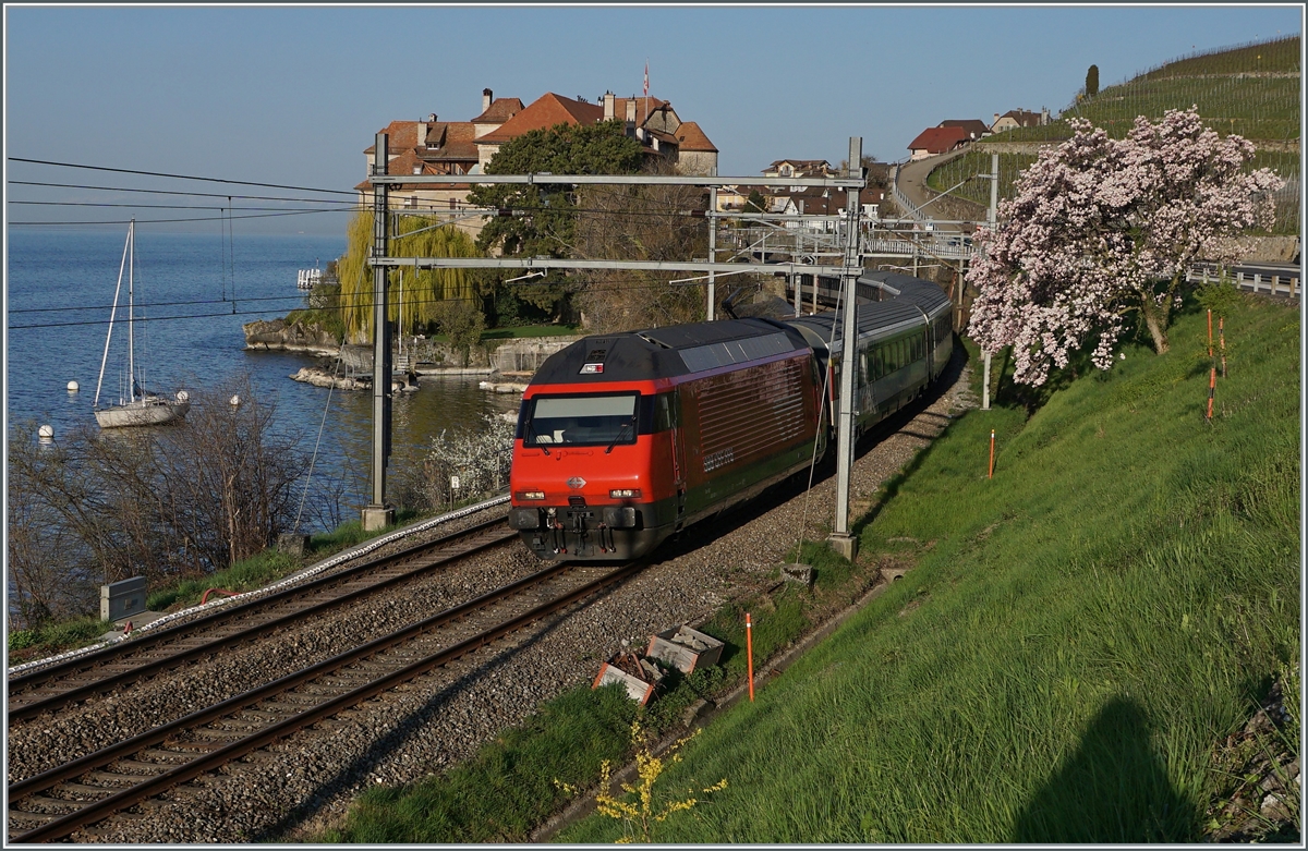 Eine SBB Re 460 im neuer Gestaltung, die wenig von er Ursprungsform abweicht: Ein silbernes SBB Signer ziert die Front, und die Loknummer ist nicht mehr an der Front angebracht. 

Das Bild zeigt die Re 460 mit einem IR bei Rivaz auf dem Weg in Richtung Brig. 

1. April 2021

