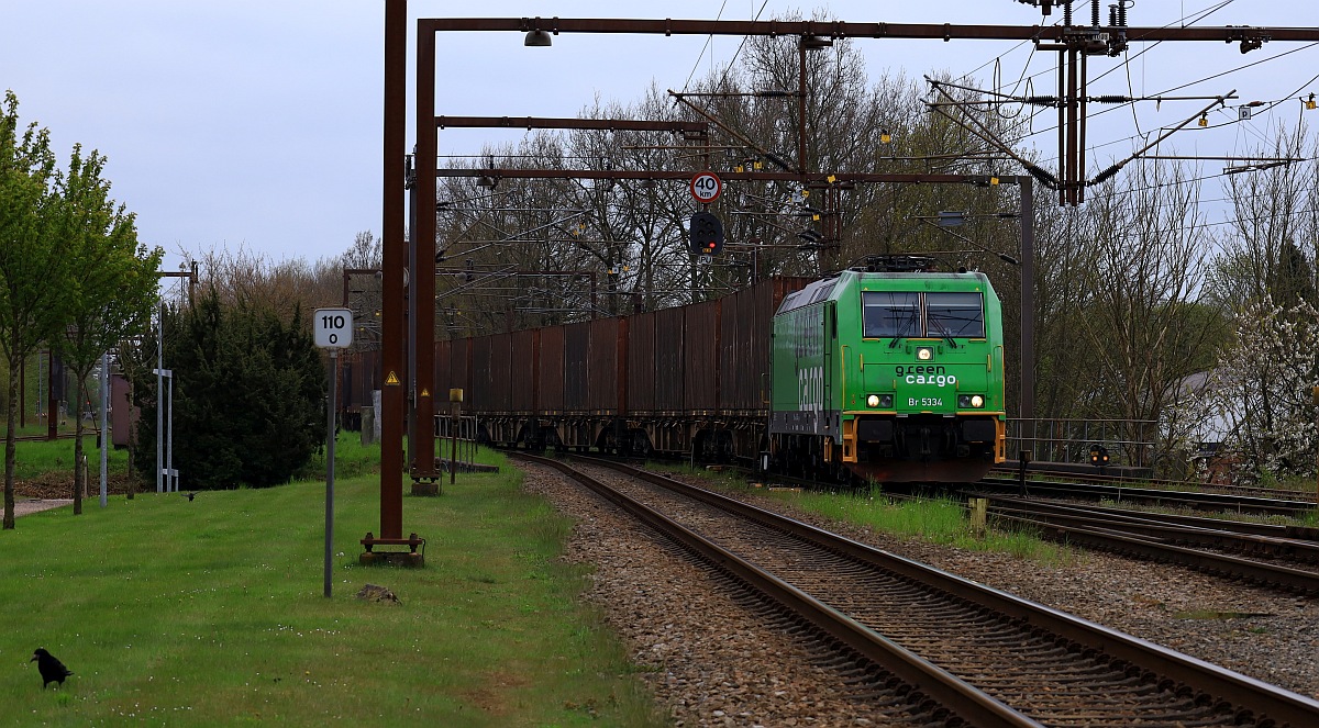 Einfahrt für GreenCargo Br 5334 mit dem Volvo-Zug aus Maschen. Pattburg 04.05.2023 Bild 1