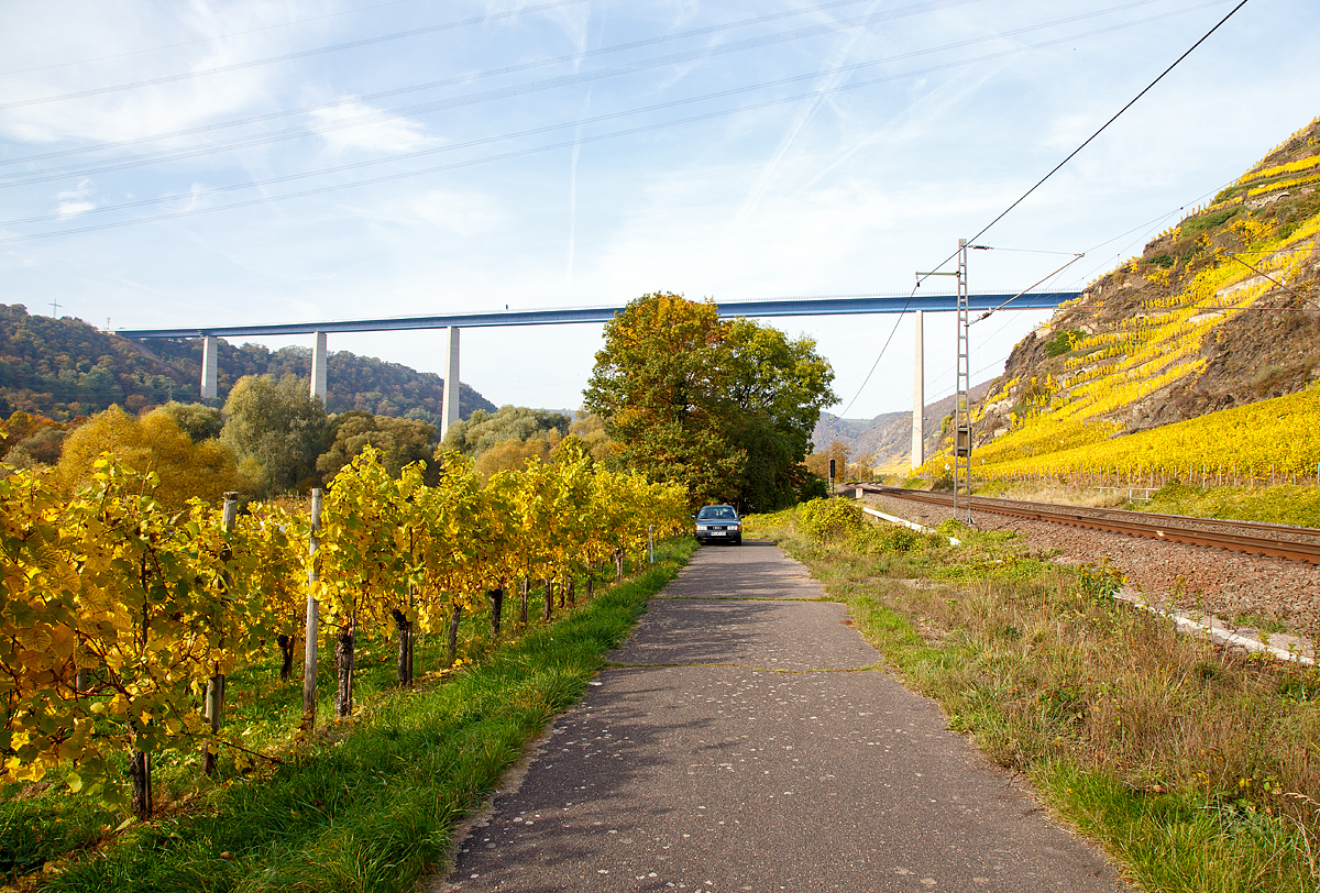 
Einige dürften diesen Ort noch in guter Erinnerung haben, aber jetzt im Herbst ist es hier noch etwas farbenfroher...
Unterhalb vom Winninger Hamm, Blickrichtung Moselaufwärts. Im Hintergrund die Moseltalbrücke der A 61. Winningen/Mosel den 01.11.2016.