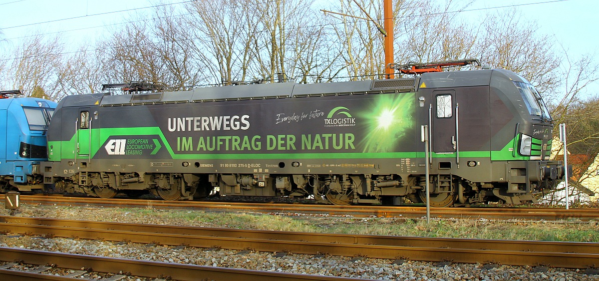 ELL/ELOC i.E für TXL 193 275-5  Natur  zu Gast im hohen Norden. Pattburg 30.12.2023  D.S/M.S