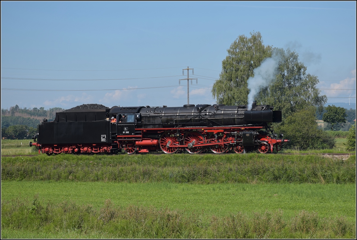 Endlich wieder Züge auf dem Schweizerbähnle (Etzwilen-Singen). 01 202 erreicht den letzten Bahnübergang vor der Grenze bei Rielasingen, August 2020.