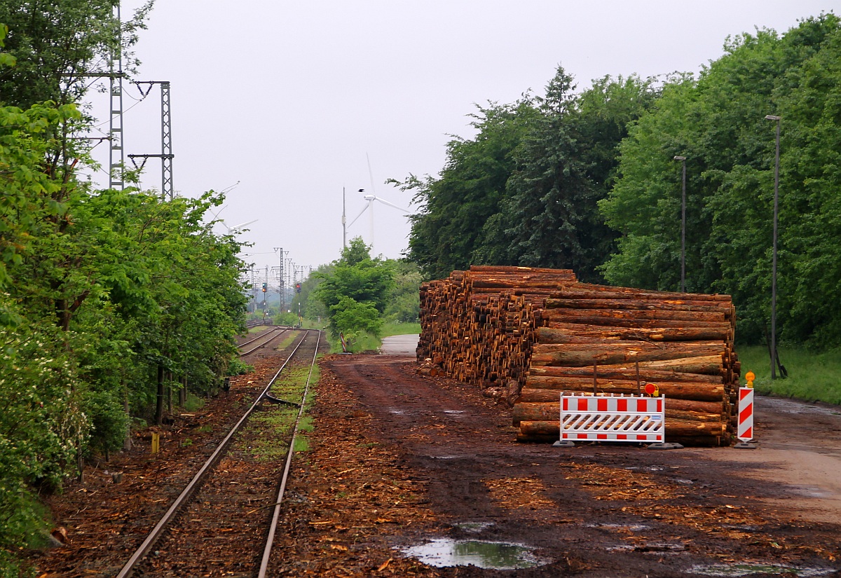 Es ist wieder angerichtet...der nächste Holzzug kommt bestimmt...erneut liegen mehrere Festmeter Holz an der Ladestrasse in Jübek bereit verladen zu werden. Jübek 24.05.2014