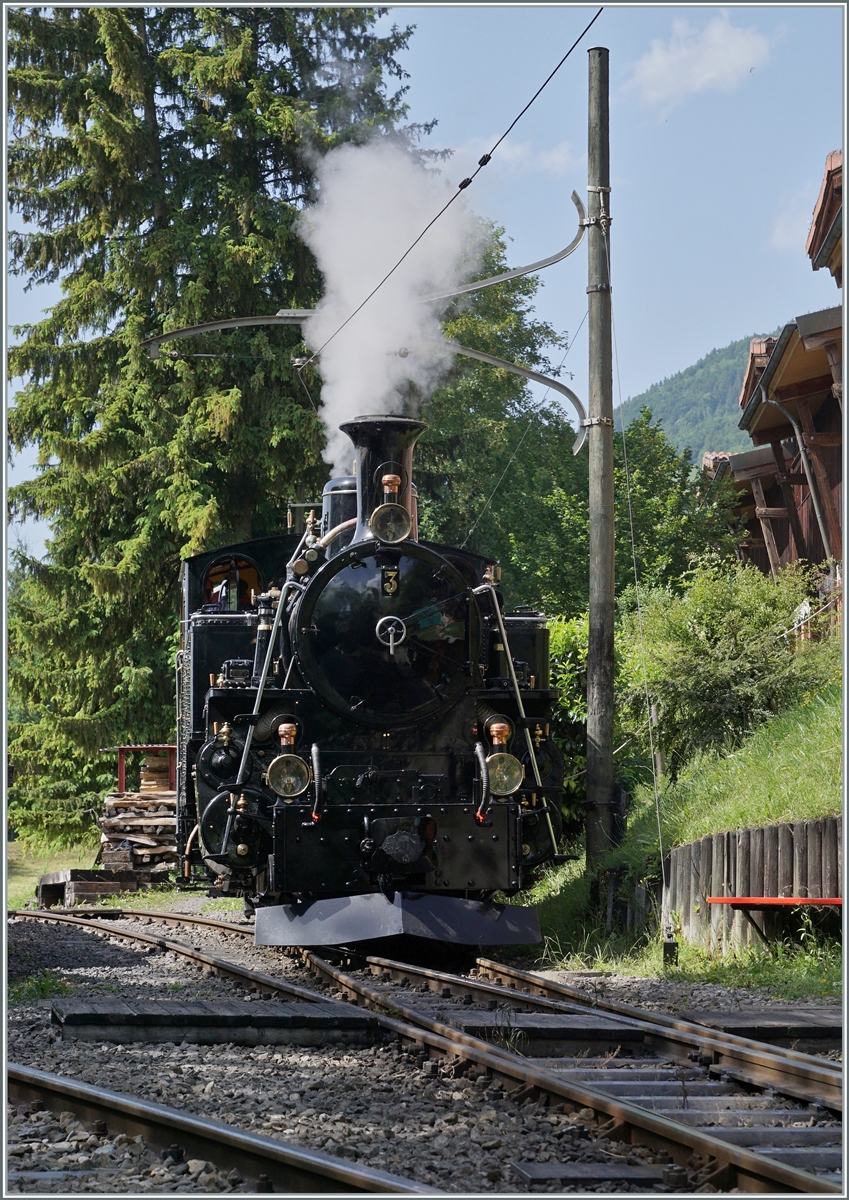  Festival Suisse de la Vapeur 2022 / Schweizer Dampffestival 2022  der Blonay-Chamby Bahn: Nach (jedenfalls für mein Empfinden) langer Abwesenheit wieder zurück aus Meiningen: Die Blonay-Chamby BFD HG 3/4 N° 3 (Baujahr 1913). Hier schiebt die Lok ihren Zug in den B-C Museumsbahnhof Chaulin. 

4. Juni 2022