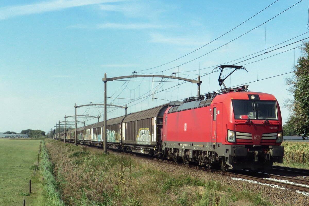 Ganzzug mit 193 339 passiert am 2 September 2022 der Fotografentruppe bei Hulten.