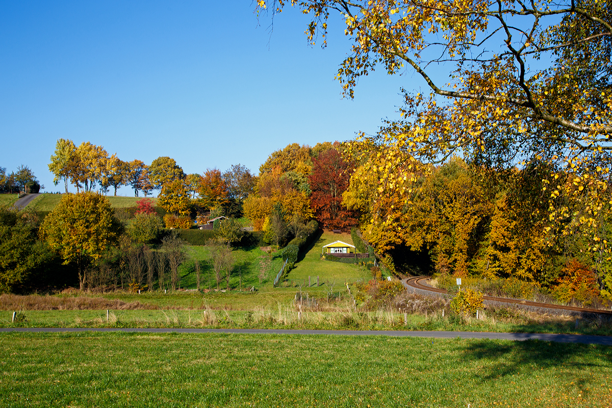 
Goldener Herbst am Westerwald....

Hier am 27.10.2015 bei Steinebach/Sieg, links die private Eisenbahnstrecke Bindweide - Scheuerfeld der Westerwakdbahn (WEBA).