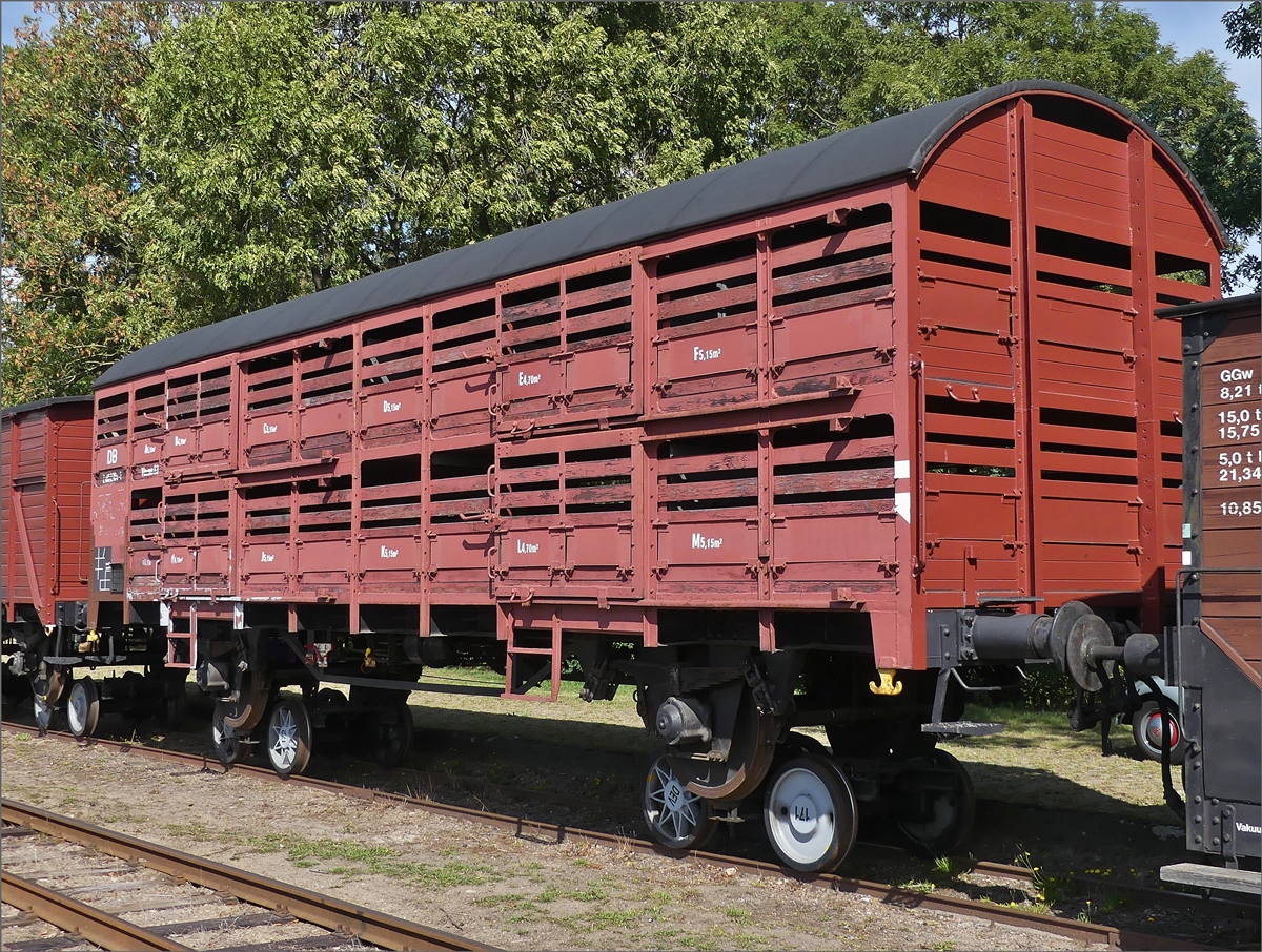 G�terwagen Nr. 8 (Vlmms 63) des DEV steht auf Rollb�cken der Schmalspurbahn auf einem Nebengleis an der Haltestelle Heiligenberg.  15.09.2019  (Jeanny)