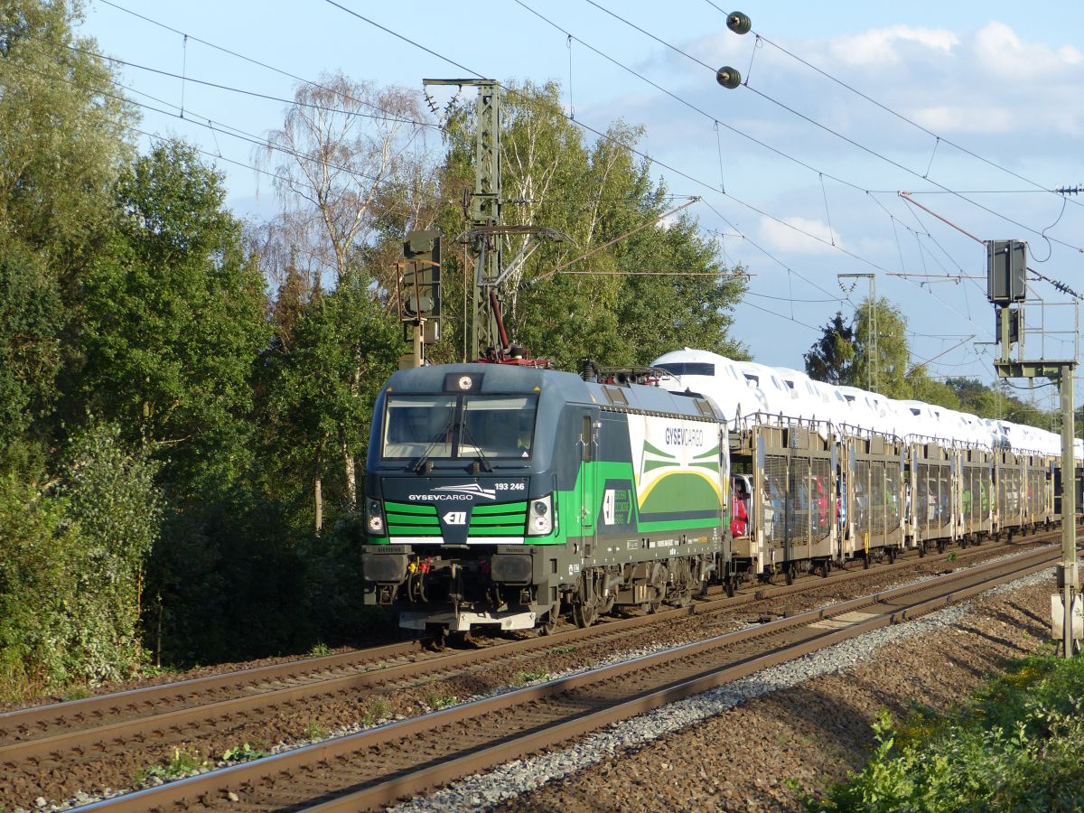 GYSEV (Győr-Sopron-Ebenfurti Vast Zrt.) Lokomotive 193 246-6 Devesstrae, Salzbergen, Deutschland 13-09-2018.

GYSEV (Győr-Sopron-Ebenfurti Vast Zrt.) locomotief 193 246-6 Devesstrae, Salzbergen, Duitsland 13-09-2018.