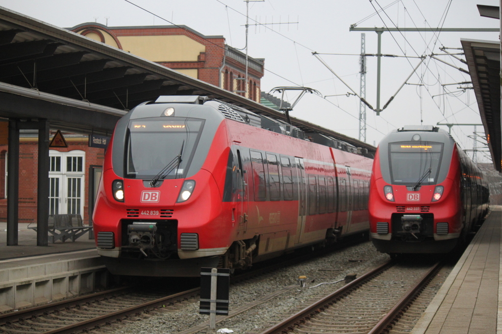 Hamster-Treffen am 01.01.2015 im Rostocker Hbf.