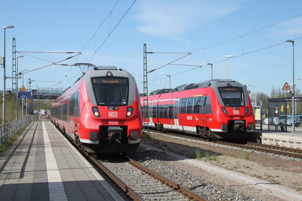 Hamster Treffen am 20.04.2019 in Warnemünde Werft.