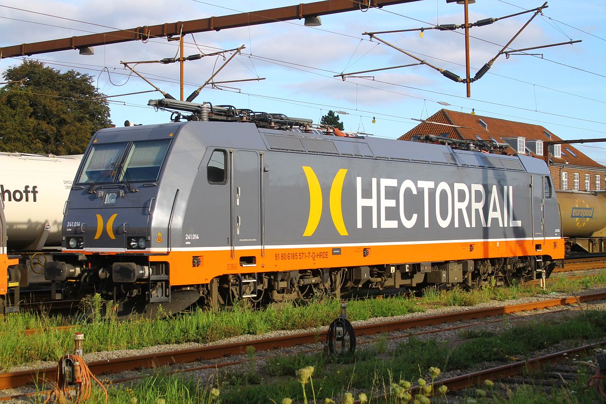 Hectorail 241.014 bei Abendlicht in Pattburg am 16.08.2023 