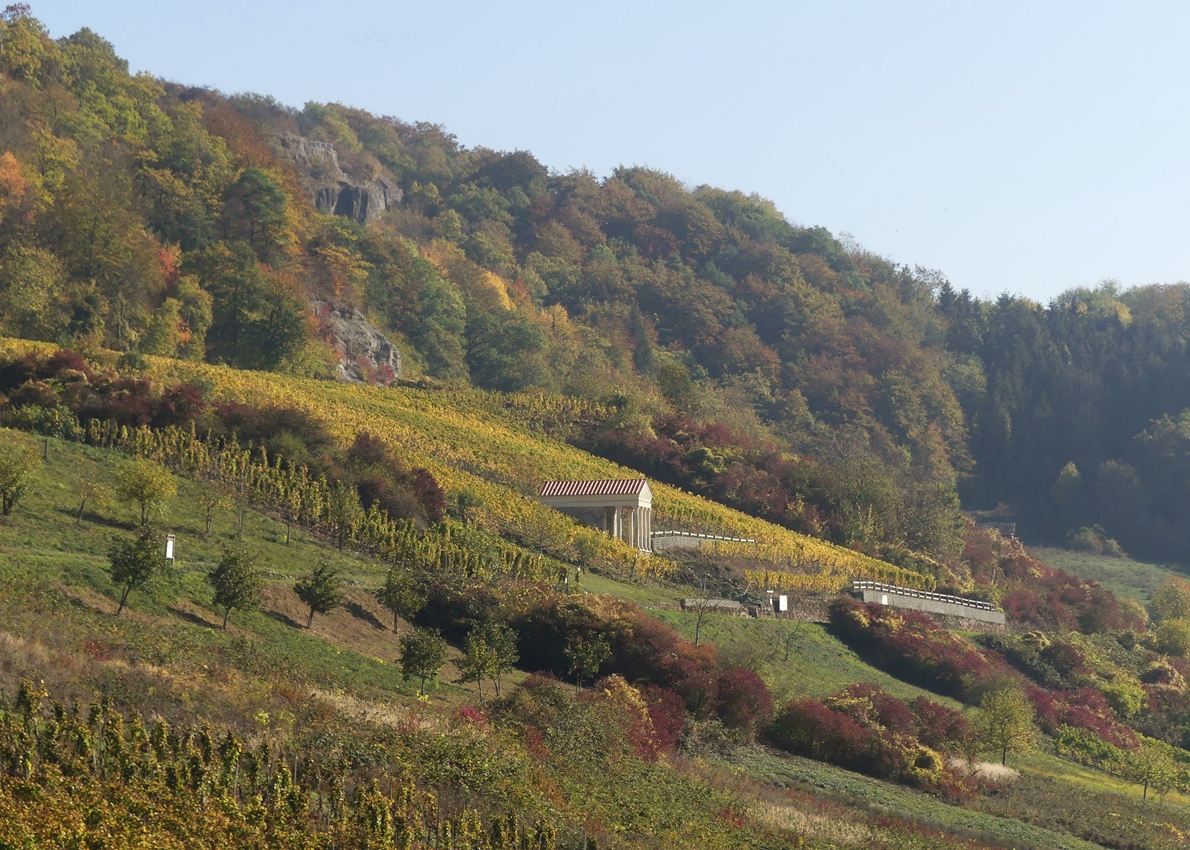 Herbst an der Mosel. 21.10.2018 (Jeanny)