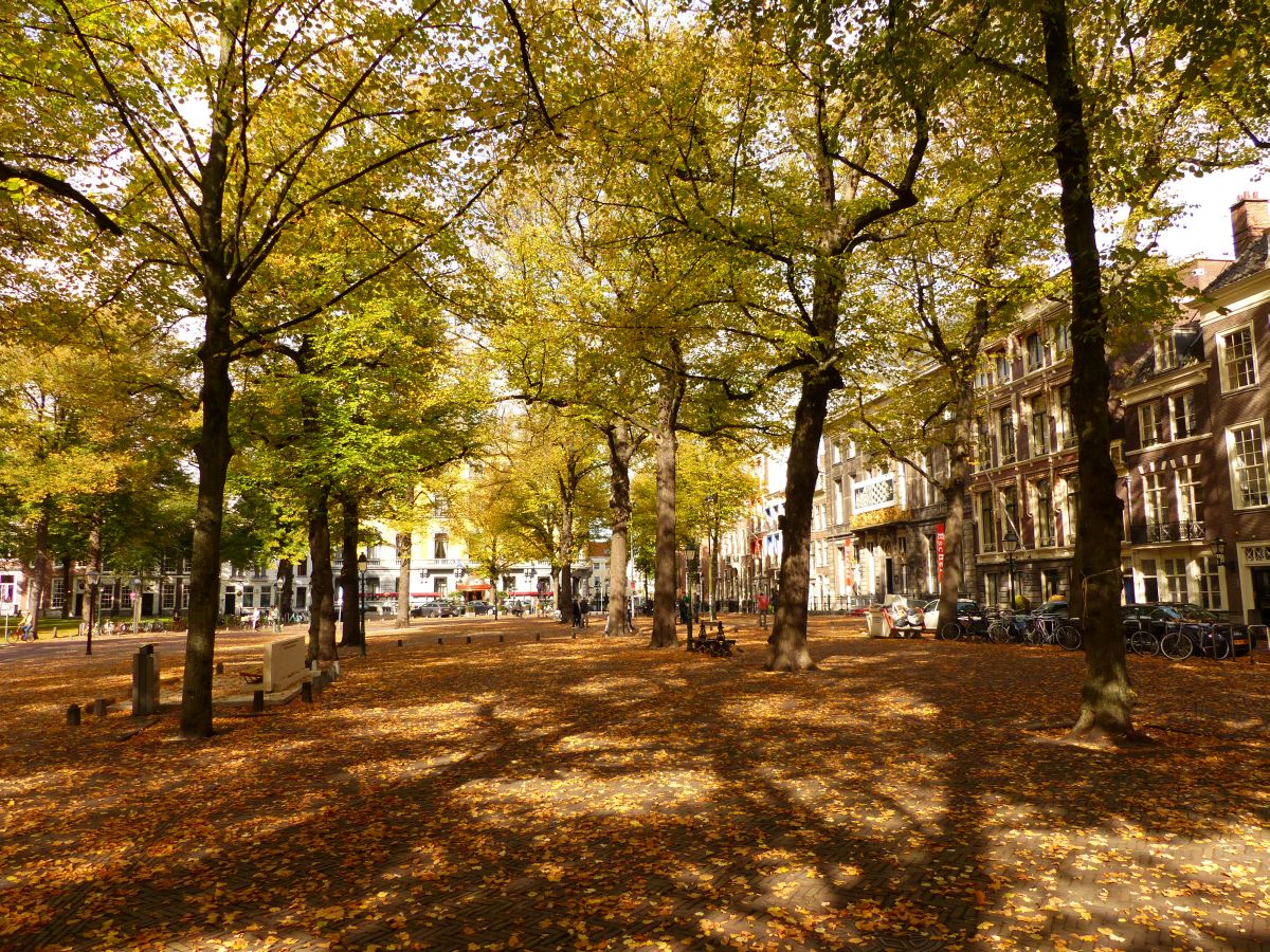 Herbstfarben Lange Voorhout, Den Haag 07-10-2018.

Herfstkleuren Lange Voorhout, Den Haag 07-10-2018.