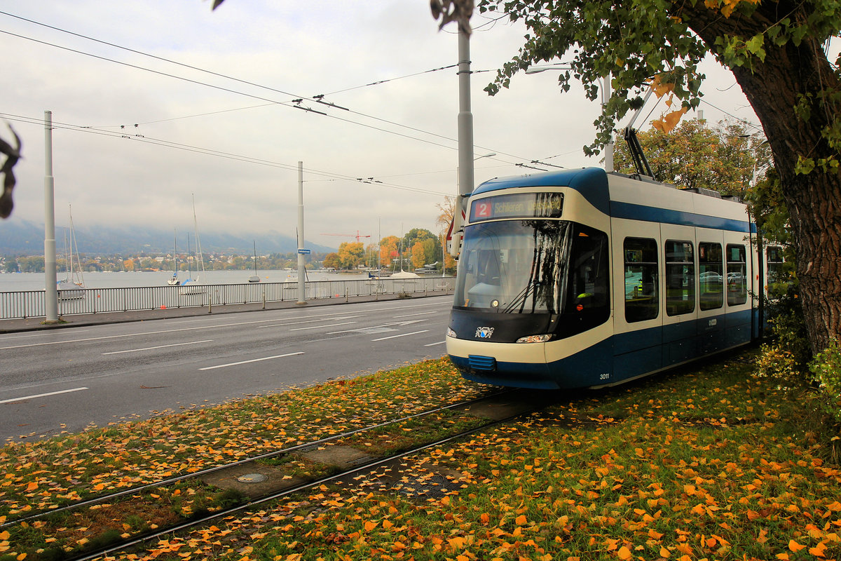 Herbstliches Zürich: Einfahrt des Cobra 3011 in Tiefenbrunnen. 17.Oktober 2020  