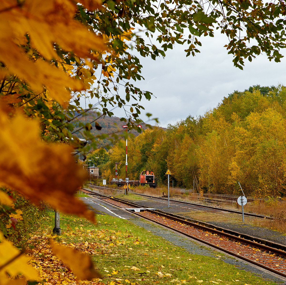 Herbstzeit in Herdorf....
Die BBL 15 alias 214 026-7 (92 80 1214 026-7 D-BBL) der BBL Logistik GmbH, ex 212 288-5, ex DB V 100 2288, hat am 23.10.2021 einen Zug mit Gleisbaumaterial in den Bahnhof Herdorf gebracht. Nun wartet sie noch aufs Abladen.

Hinten das Weichenwärter-Stellwerk Herdorf Ost (Ho).