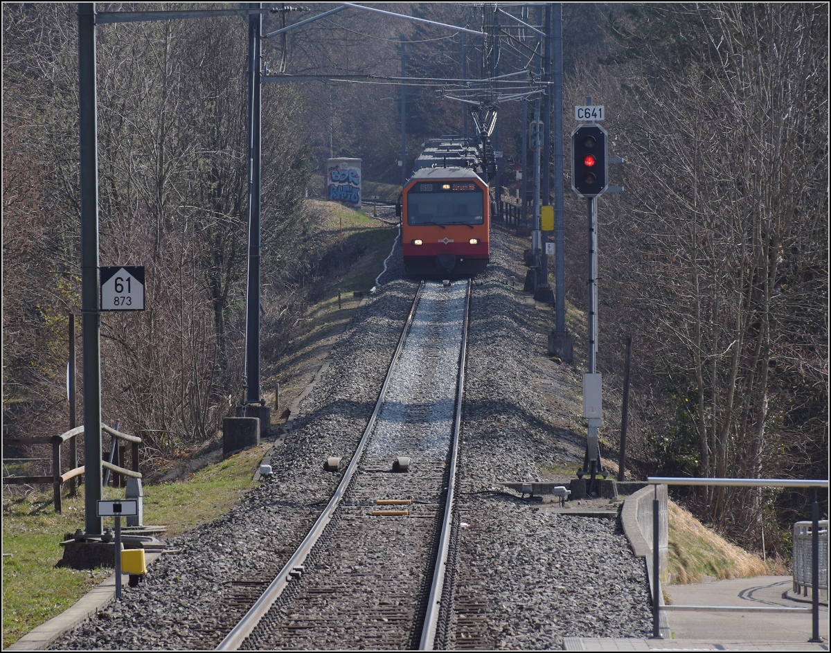 Hier kommen die Fast-Rentner Be 556 522, ein Tiefeinstiegswagen und ein nicht bekannter Be 556, hinten Be 556 527 vom Uetliberg zurück nach Uitikon-Waldegg. März 2022.