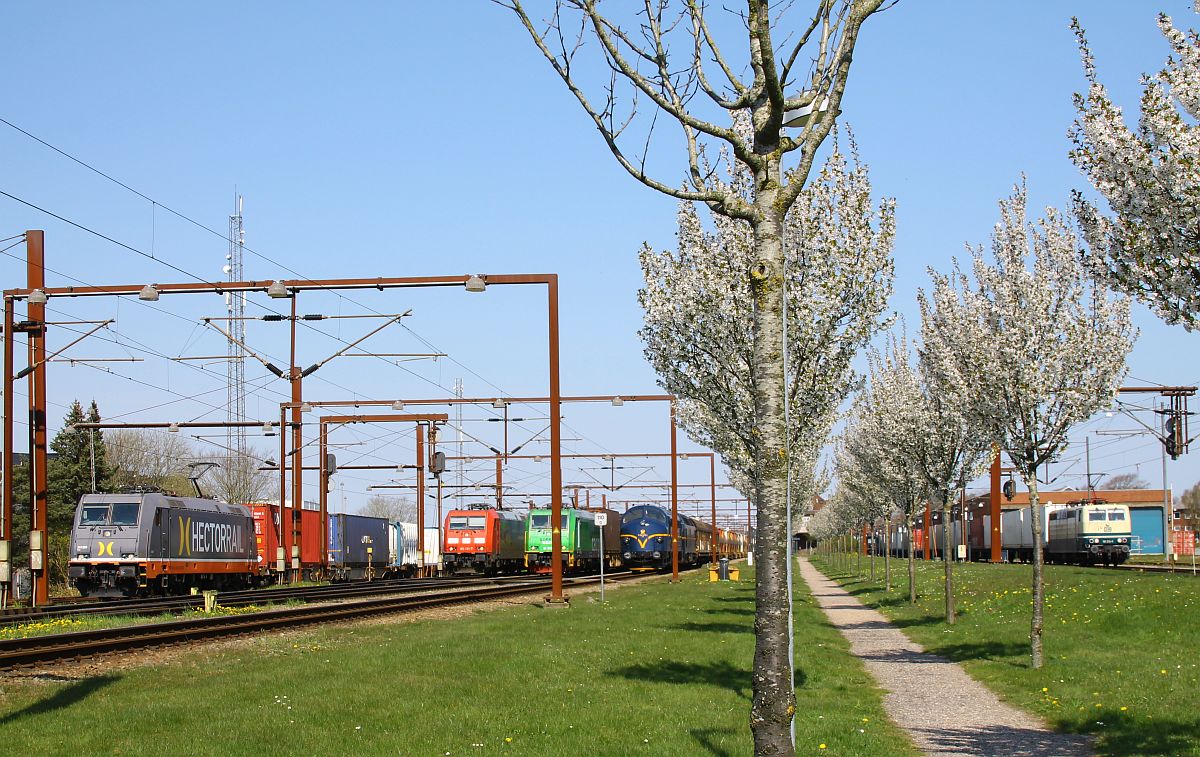 Hochbetrieb im Bahnhof Pattburg am 21.04.2023 um 12.11 Uhr: Hectorrail 241.005 ; DB 185 401 ;  GreenCargo Br 5333 ; Viking Rail MY 1146 ; SEL 181 213 