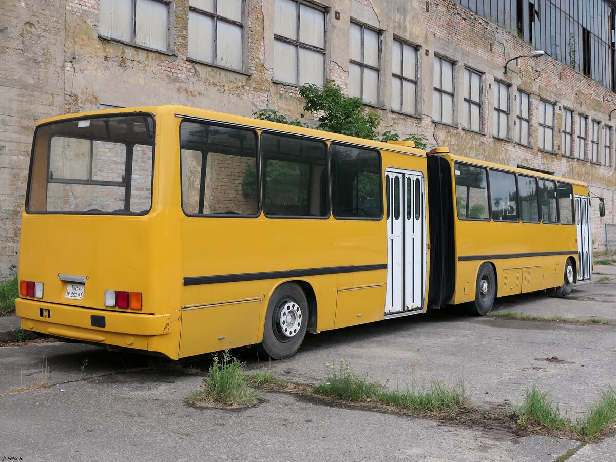 Ikarus 280 vom Technikmuseum Pütnitz (ex Schönebecker Buslinien) in Pütnitz.