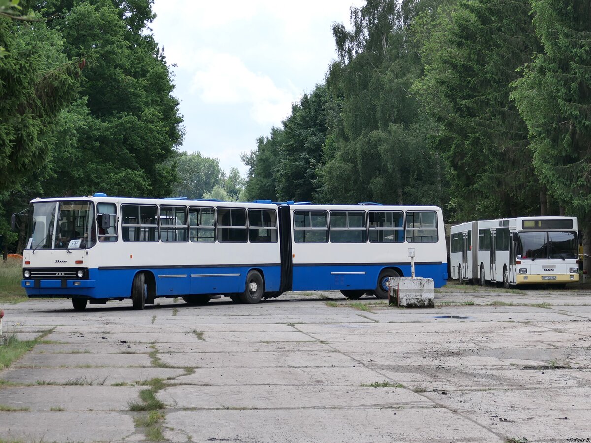 Ikarus 280 vom Technikmuseum Pütnitz (exex Kapos Volán Zrt. (BY 64-60), ex Kaposvári Közlekedési Zrt. (BRS-306)) in Pütnitz.