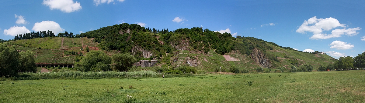 Im Moseltal am 21.06.2014 bei Pünderrich.