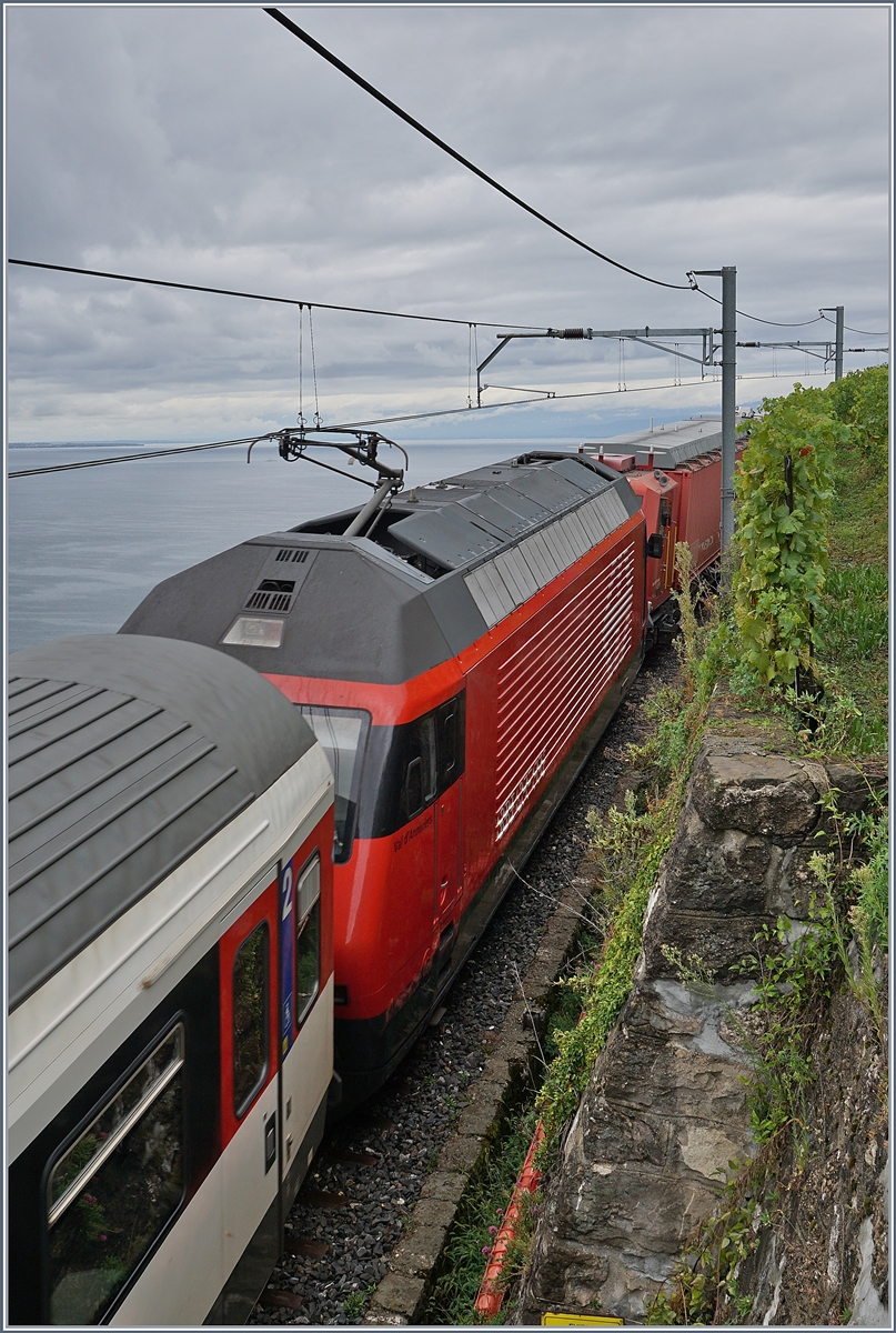 Impressionen vom nicht so gelungenen ersten  Umleitungswochenende  über die  Train des Vignes  Strecke infolge baubedingter Streckensperrung Vevey- Lausanne: Der Hilfszug XTmas 99 85 9177 004-0 schleppt den liegengeblieben und zwischenzeitlich nach Vevey zurück gefahrenen IR ab. 

Oberhalb von St-Saphorin, den 29. August 2020