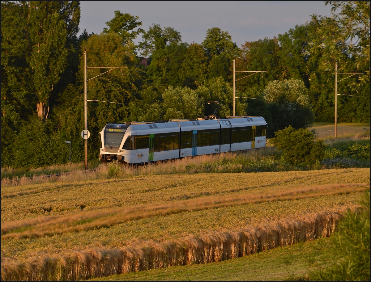 Ins rechte Licht gesetzt macht auch ein GTW was her. 

Thurbo GTW 2/8 unterhalb dem Spital Münsterlingen. Juni 2014.