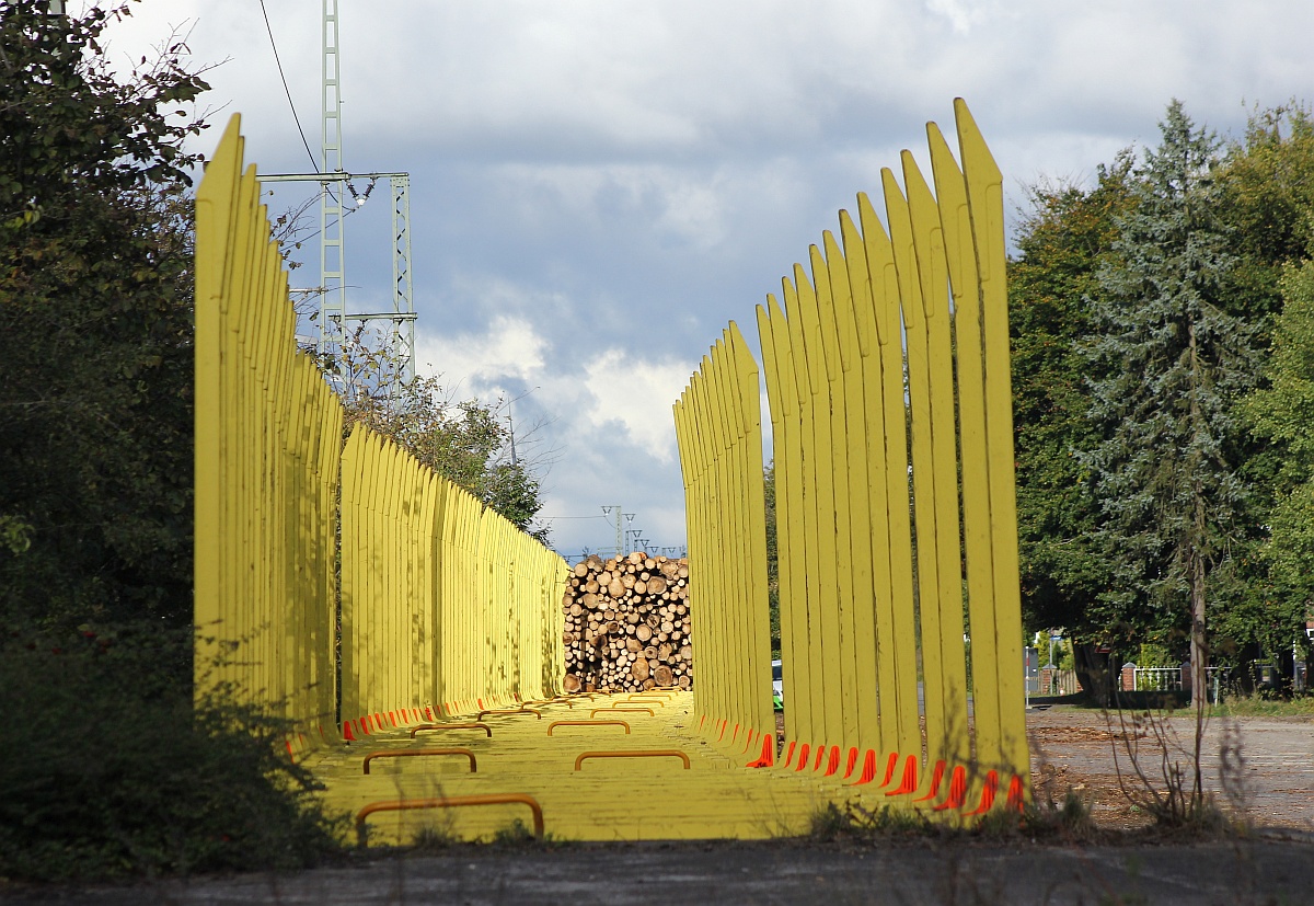 Jübek Holzverladung....07.10.2016