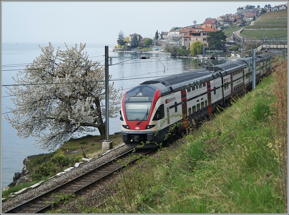 Keine Angst, die Strecke Vevey - Lausanne wurde nicht auf Einspur zurückgebaut. 
Zwischen St Saphorin und Rivaz, den 6. April 2014