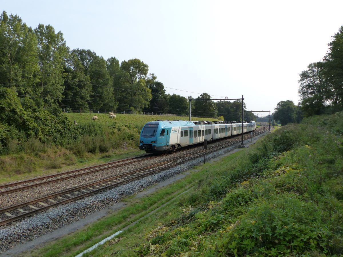 Keolis Eurobahn Stadler FLIRT 3 Triebzug ET 4.02 De Lutte, Niederlande 11-09-2020.


Keolis Eurobahn Stadler FLIRT 3 treinstel ET 4.02 De Lutte, Nederland 11-09-2020.