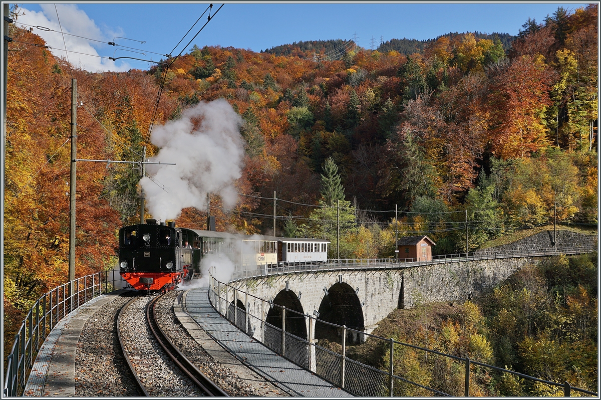  LA DER 2020 du Blonay-Chamby  / Saison Abschluss der Blonay-Chamby Bahn: Mit einem verstärkten Fahrplan und viel Dampf wird vor dem  Winterschlaf  (bzw. Arbeit im Dépôt Chaulin) nochmals viel Betrieb gemacht. Die Blonay-Chamby G 2x 2/2 N° 105 fährt mit ihrem Personenzug über den Baye de Clarens Viadukt. Besonders gefiel mit neben dem bunten Herbstwald der vor einem schattigen Hintergrund herausstechende grüne Nadelbaum im rechten Bildteil. 24. Oktober 2020